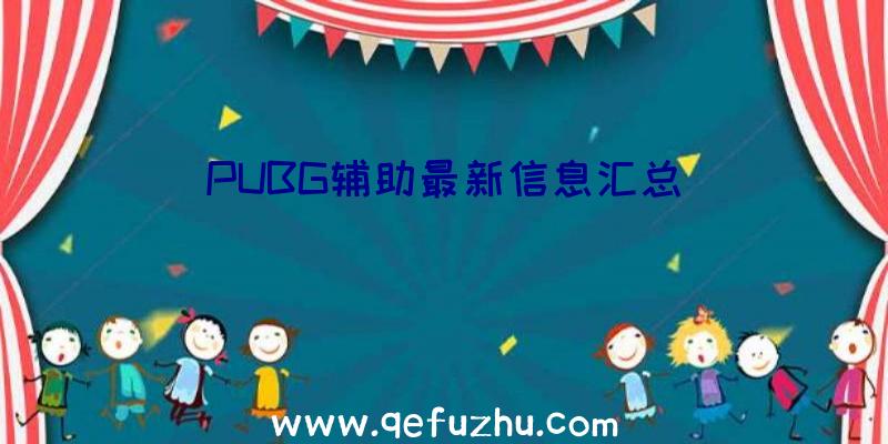 PUBG辅助最新信息汇总