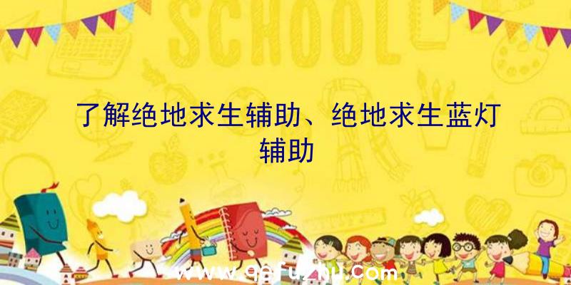 了解绝地求生辅助、绝地求生蓝灯辅助