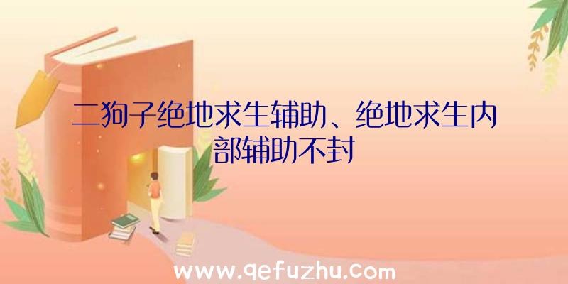 二狗子绝地求生辅助、绝地求生内部辅助不封
