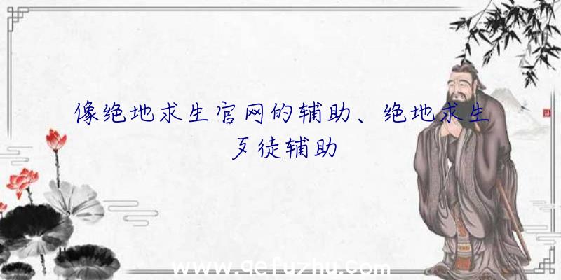 像绝地求生官网的辅助、绝地求生歹徒辅助