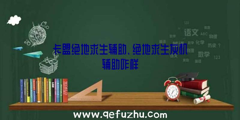 卡盟绝地求生辅助、绝地求生灰机辅助咋样