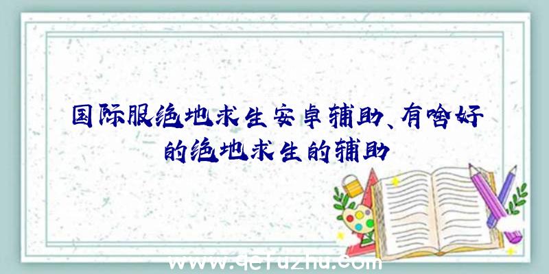 国际服绝地求生安卓辅助、有啥好的绝地求生的辅助