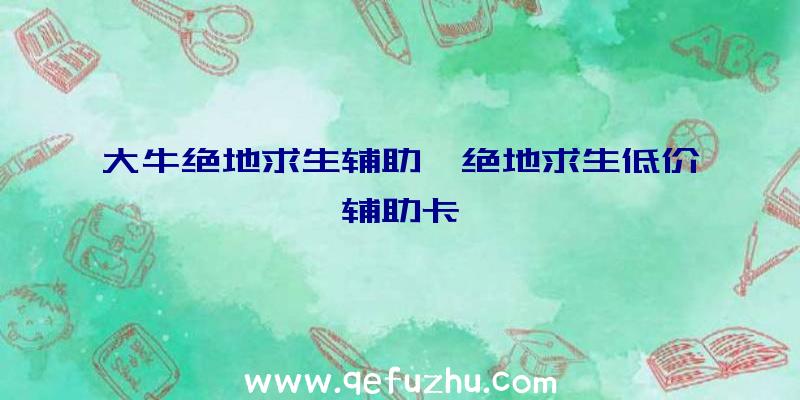 大牛绝地求生辅助、绝地求生低价辅助卡