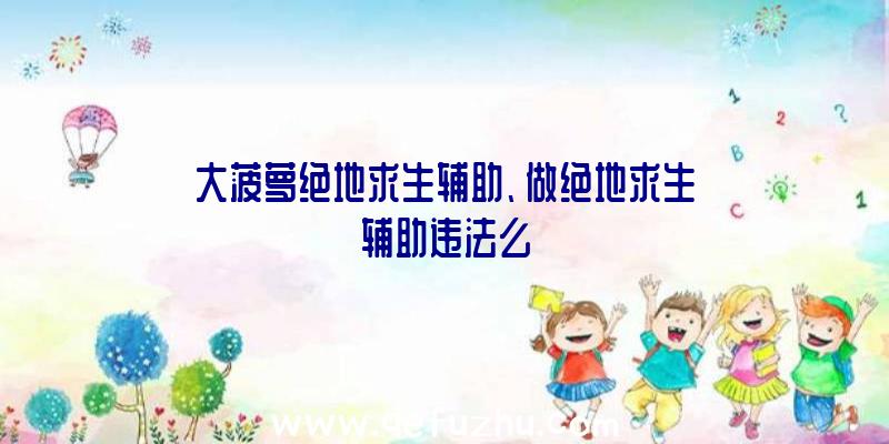 大菠萝绝地求生辅助、做绝地求生辅助违法么