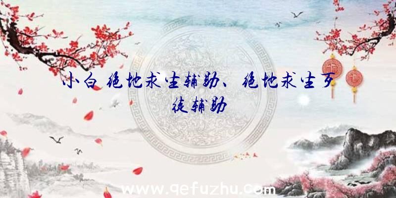 小白+绝地求生辅助、绝地求生歹徒辅助