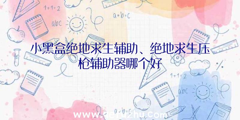 小黑盒绝地求生辅助、绝地求生压枪辅助器哪个好