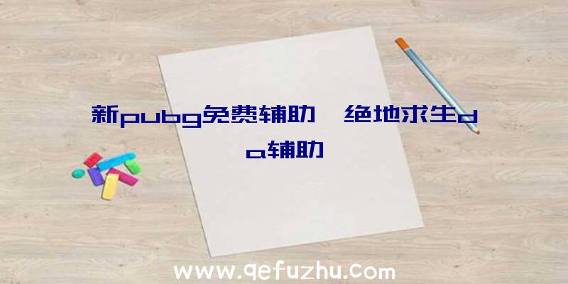 新pubg免费辅助、绝地求生da辅助