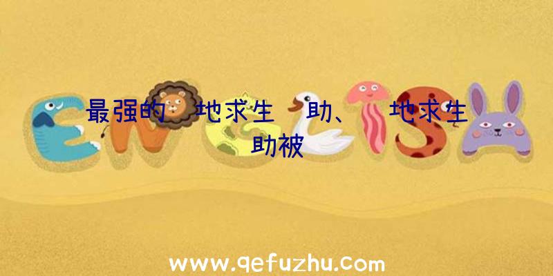 最强的绝地求生辅助、绝地求生辅助被骗