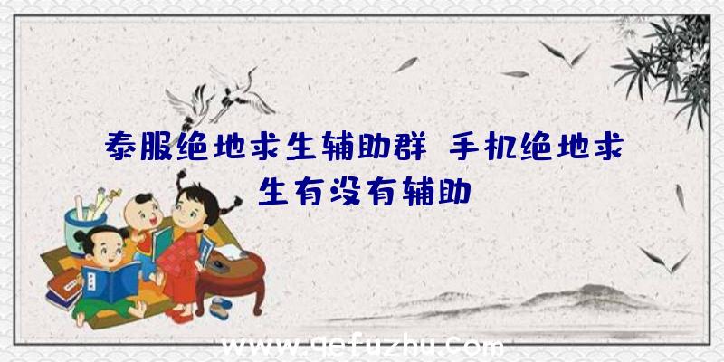 泰服绝地求生辅助群、手机绝地求生有没有辅助