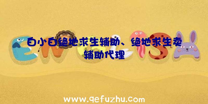 白小白绝地求生辅助、绝地求生卖辅助代理