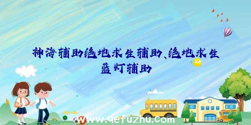 神海辅助绝地求生辅助、绝地求生蓝灯辅助
