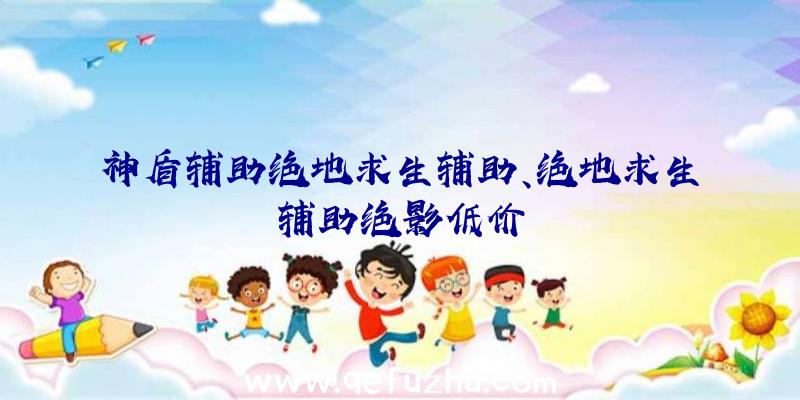 神盾辅助绝地求生辅助、绝地求生辅助绝影低价
