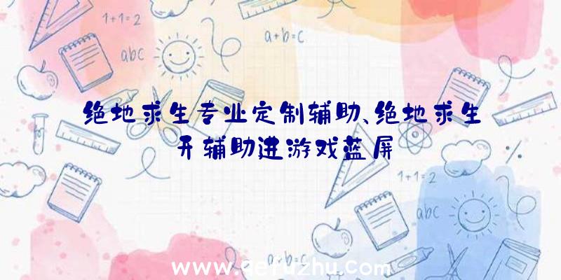 绝地求生专业定制辅助、绝地求生开辅助进游戏蓝屏