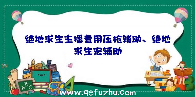 绝地求生主播专用压枪辅助、绝地求生宏辅助