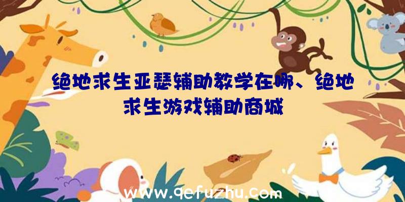 绝地求生亚瑟辅助教学在哪、绝地求生游戏辅助商城