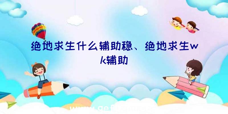 绝地求生什么辅助稳、绝地求生wk辅助