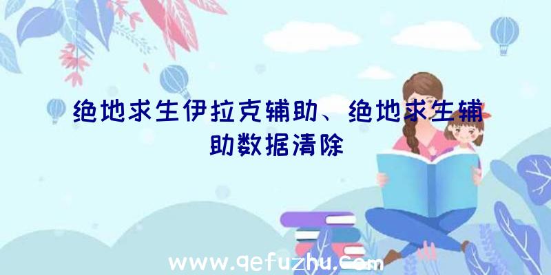 绝地求生伊拉克辅助、绝地求生辅助数据清除