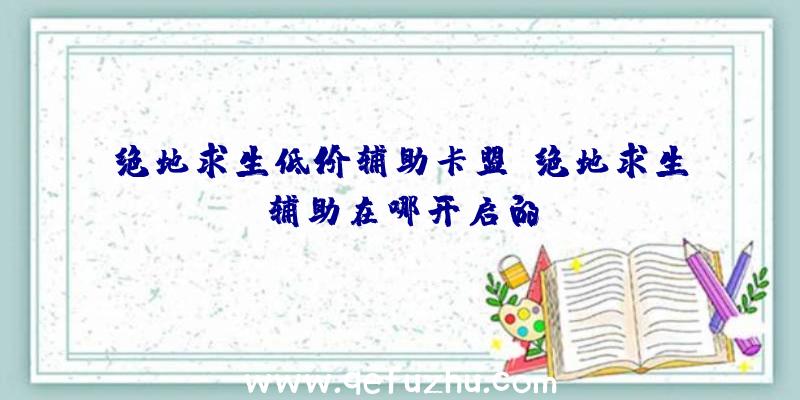 绝地求生低价辅助卡盟、绝地求生辅助在哪开启的