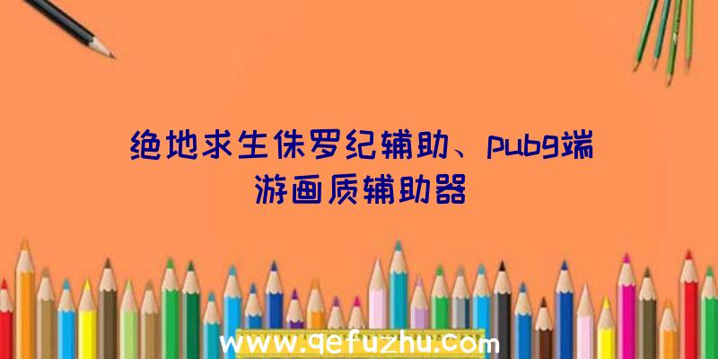绝地求生侏罗纪辅助、pubg端游画质辅助器