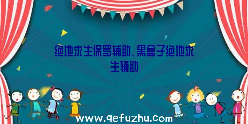 绝地求生保罗辅助、黑盒子绝地求生辅助
