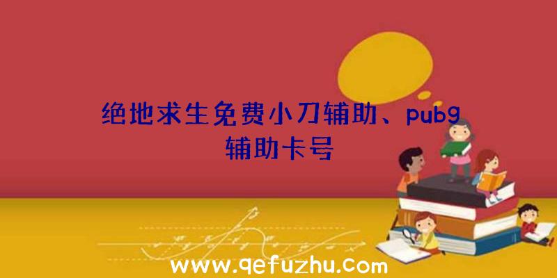 绝地求生免费小刀辅助、pubg辅助卡号