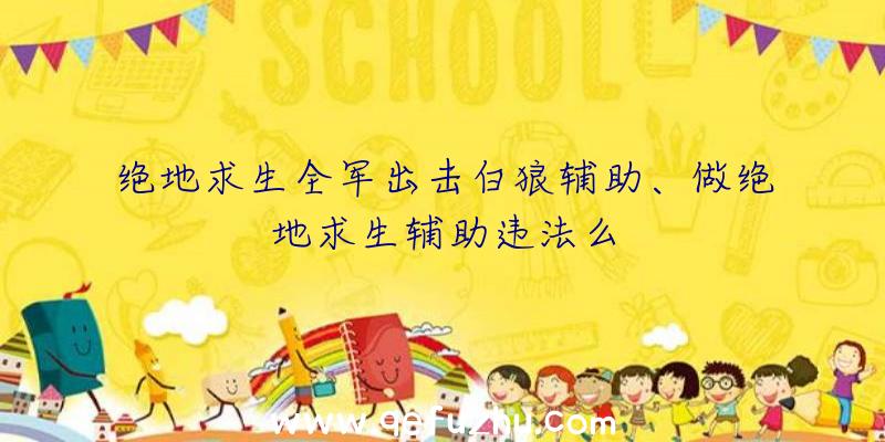 绝地求生全军出击白狼辅助、做绝地求生辅助违法么