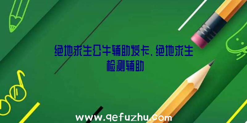 绝地求生公牛辅助发卡、绝地求生