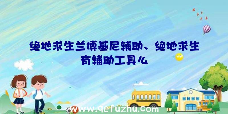 绝地求生兰博基尼辅助、绝地求生有辅助工具么