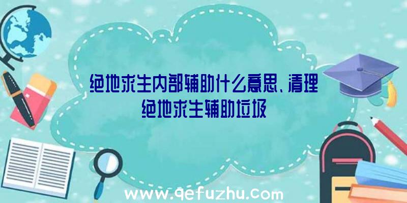 绝地求生内部辅助什么意思、清理绝地求生辅助垃圾