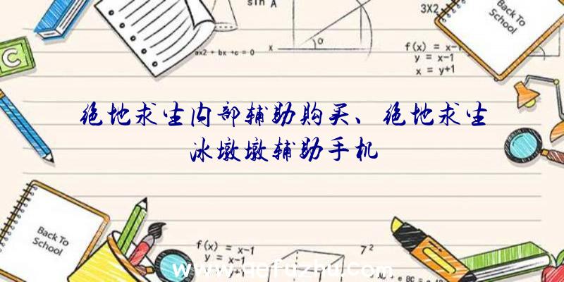 绝地求生内部辅助购买、绝地求生冰墩墩辅助手机