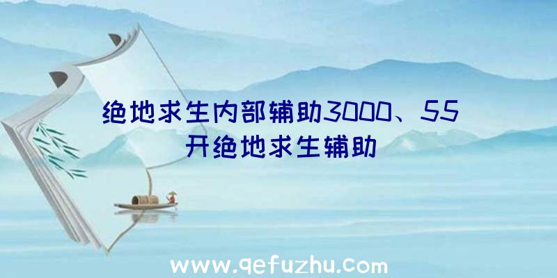 绝地求生内部辅助3000、55开绝地求生辅助