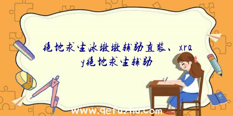 绝地求生冰墩墩辅助直装、xray绝地求生辅助