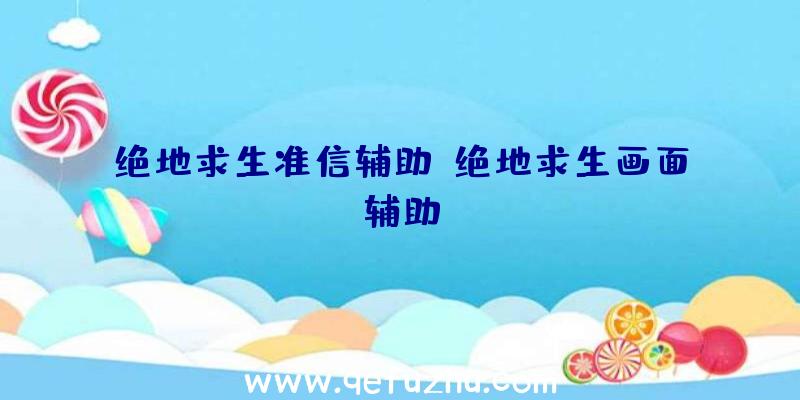 绝地求生准信辅助、绝地求生画面辅助