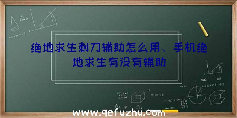 绝地求生刺刀辅助怎么用、手机绝地求生有没有辅助