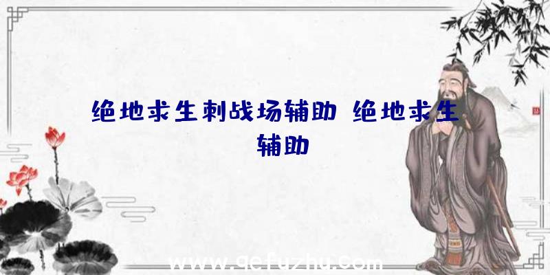 绝地求生刺战场辅助、绝地求生wk辅助