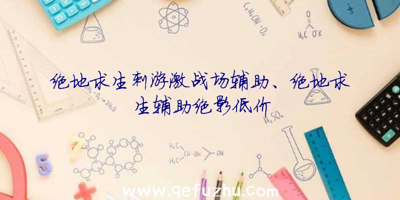 绝地求生刺游激战场辅助、绝地求生辅助绝影低价