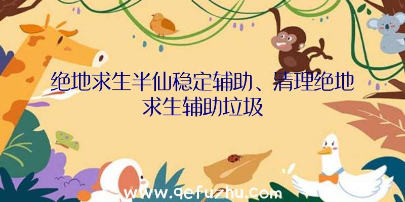 绝地求生半仙稳定辅助、清理绝地求生辅助垃圾