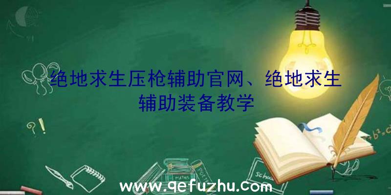 绝地求生压枪辅助官网、绝地求生辅助装备教学