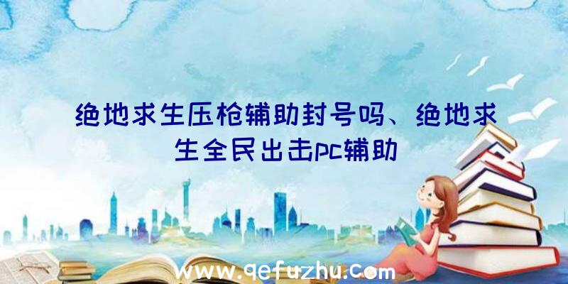 绝地求生压枪辅助封号吗、绝地求生全民出击pc辅助