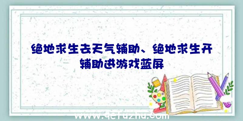 绝地求生去天气辅助、绝地求生开辅助进游戏蓝屏