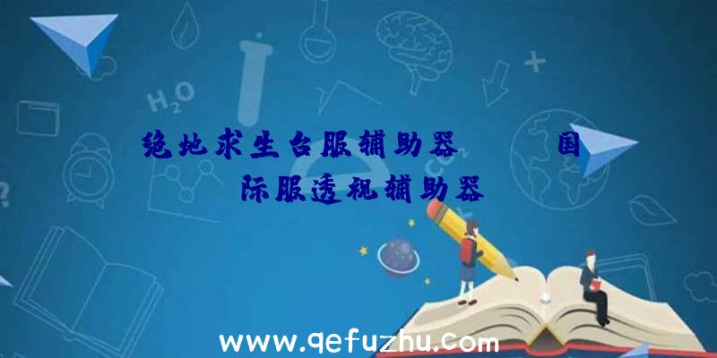 绝地求生台服辅助器、pubg国际服透视辅助器