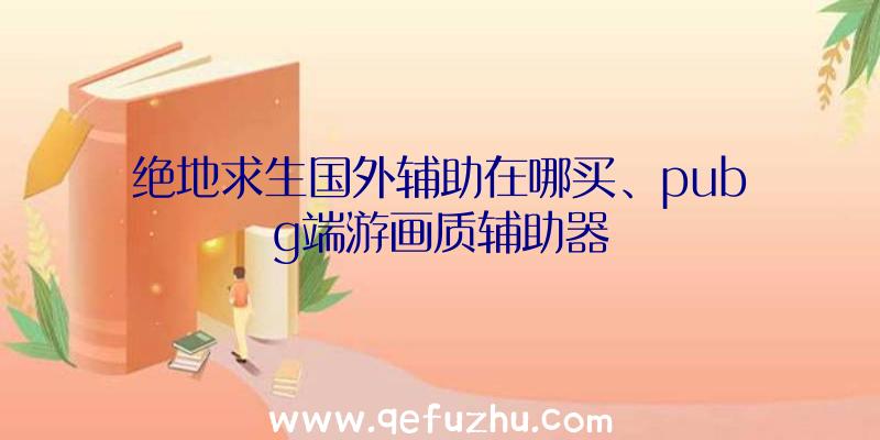 绝地求生国外辅助在哪买、pubg端游画质辅助器