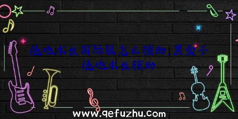 绝地求生国际服怎么辅助、黑盒子绝地求生辅助