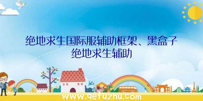 绝地求生国际服辅助框架、黑盒子绝地求生辅助