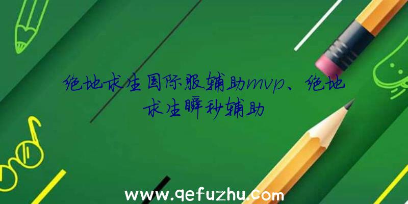 绝地求生国际服辅助mvp、绝地求生瞬秒辅助