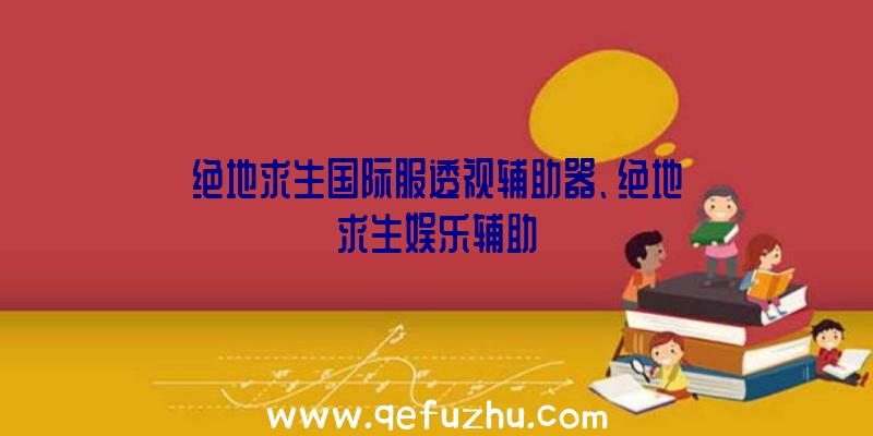 绝地求生国际服透视辅助器、绝地求生娱乐辅助