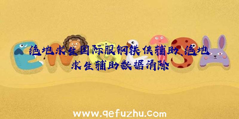 绝地求生国际服钢铁侠辅助、绝地求生辅助数据清除