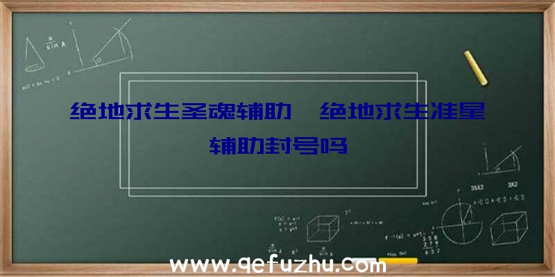 绝地求生圣魂辅助、绝地求生准星辅助封号吗