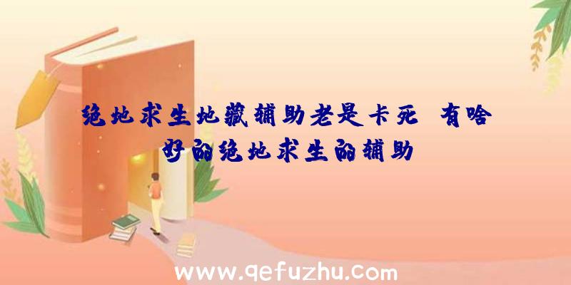 绝地求生地藏辅助老是卡死、有啥好的绝地求生的辅助