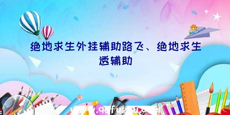 绝地求生外挂辅助路飞、绝地求生透辅助